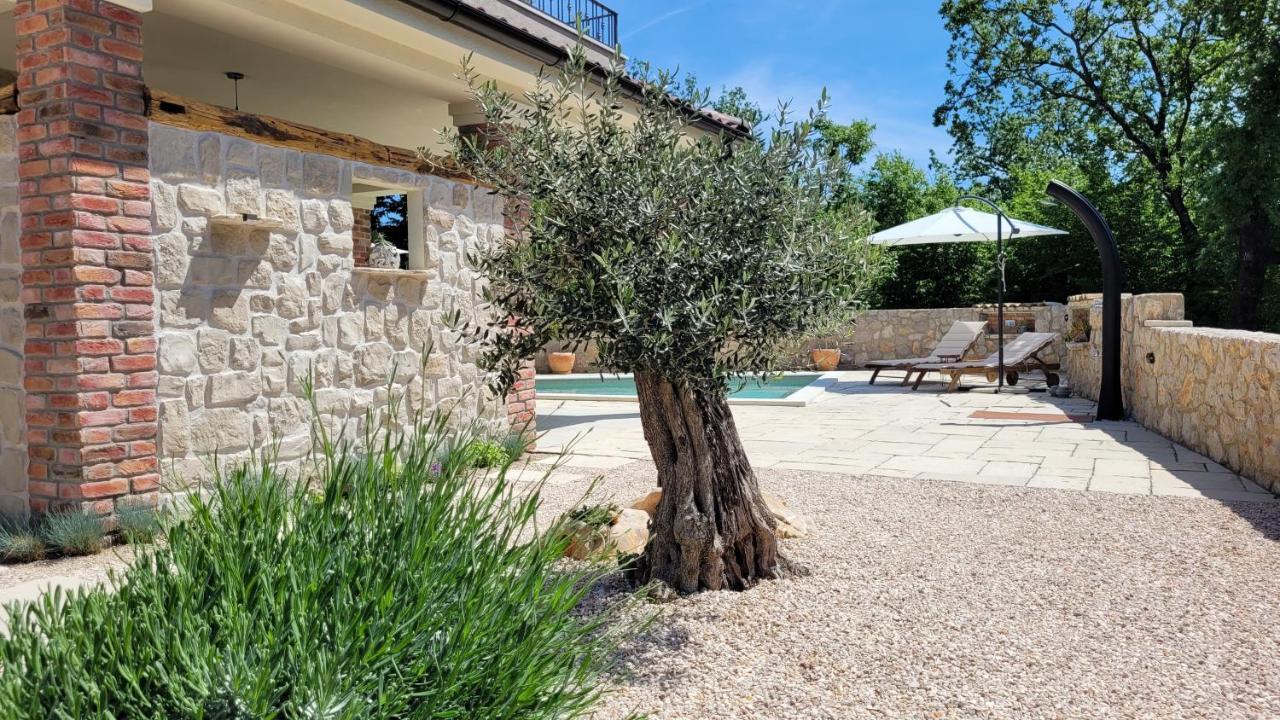 Villa Alara - Charming Villa With Heated Swimming Pool Milohnici Exteriör bild